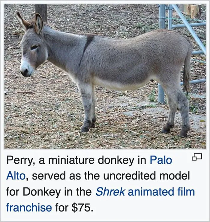 50 Times People Found Gems On Wikipedia That Were Too Funny Not To Share (New Pics)