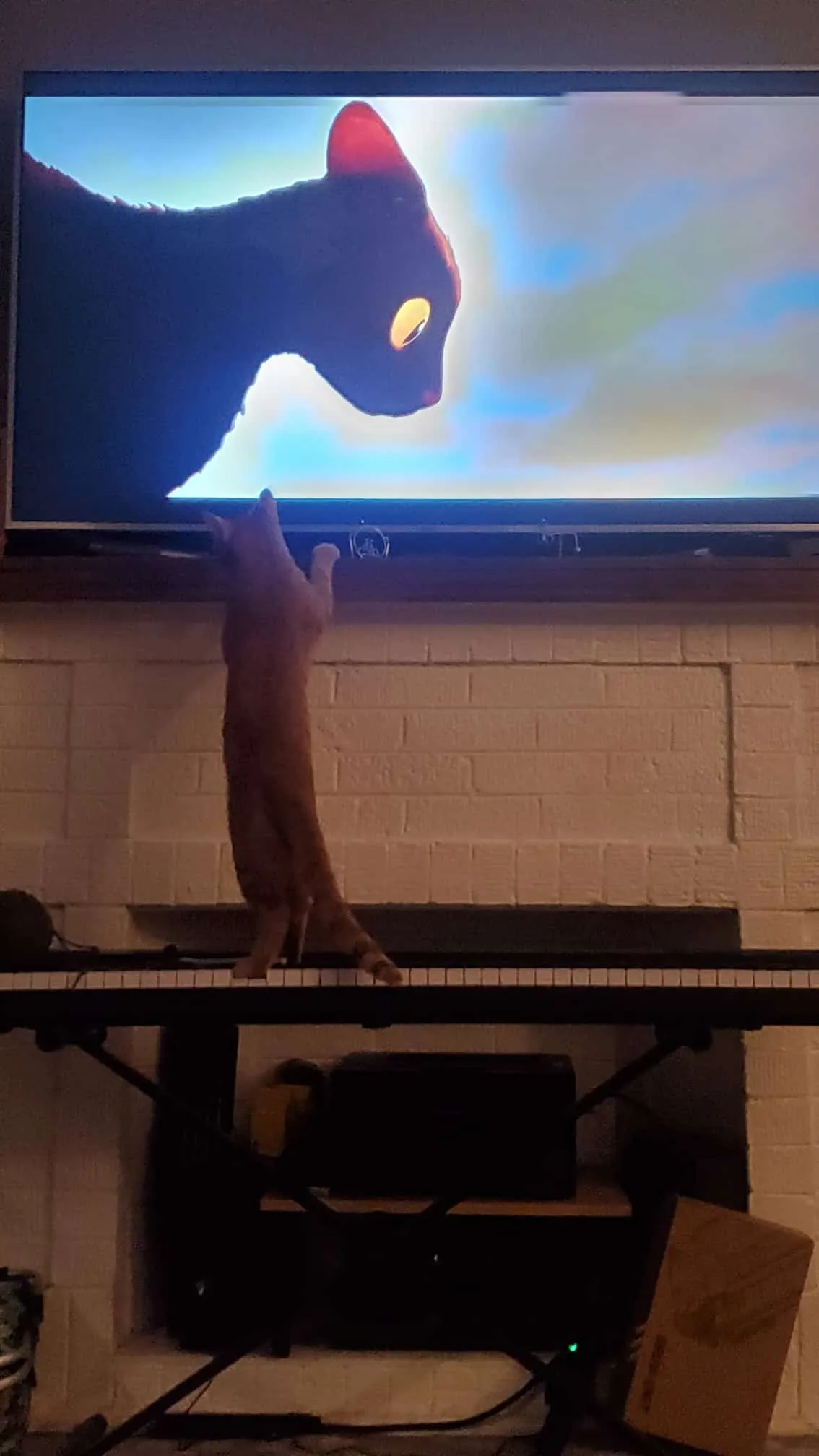Red Loves Animal Movies