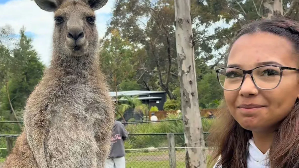 25 Personas muestran fotos antes y después de mudarse a Australia para demostrar que el "efecto australiano" es una realidad