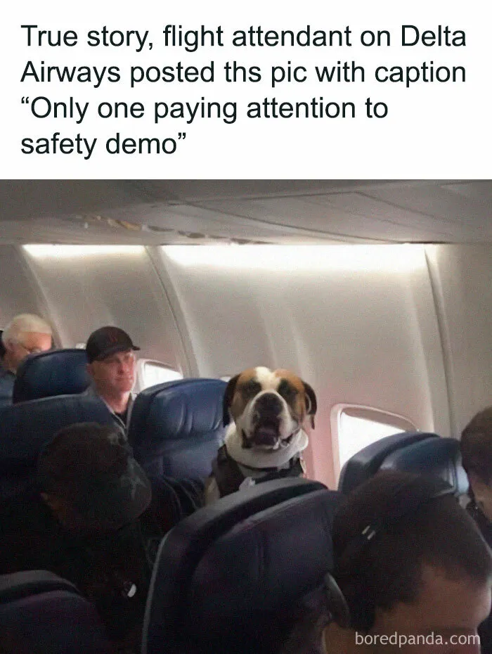 This IG Account Specializes In Aviation Humor And These 40 Memes Are Hilarious