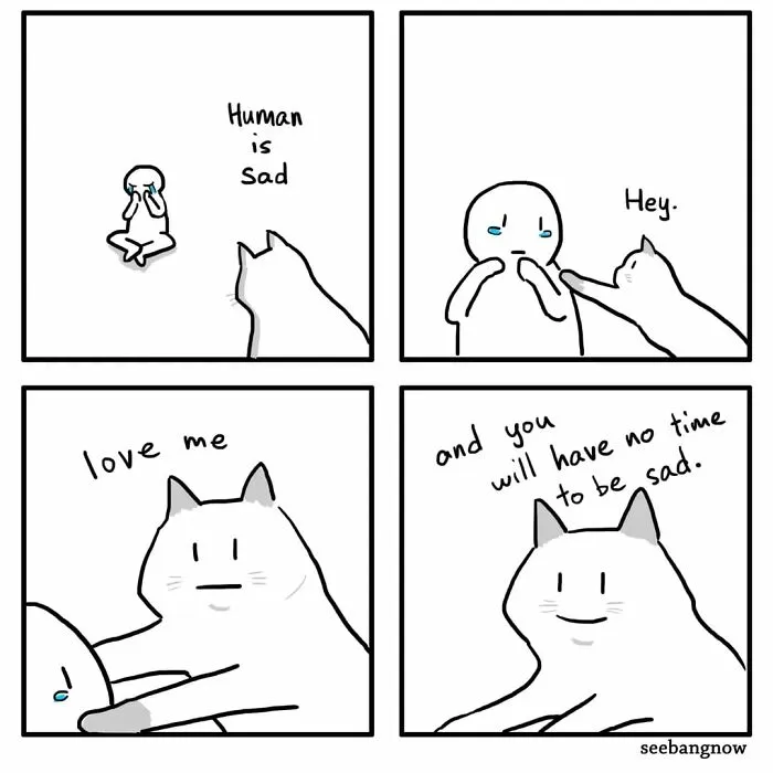 29 Sassy Cat Comics That Prove Cats Understand Us Better Than We Think