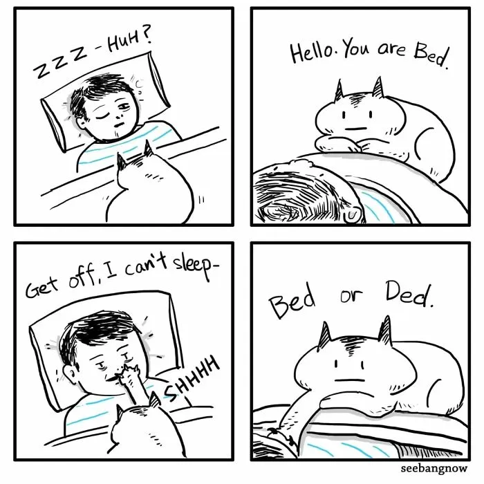 29 Sassy Cat Comics That Prove Cats Understand Us Better Than We Think