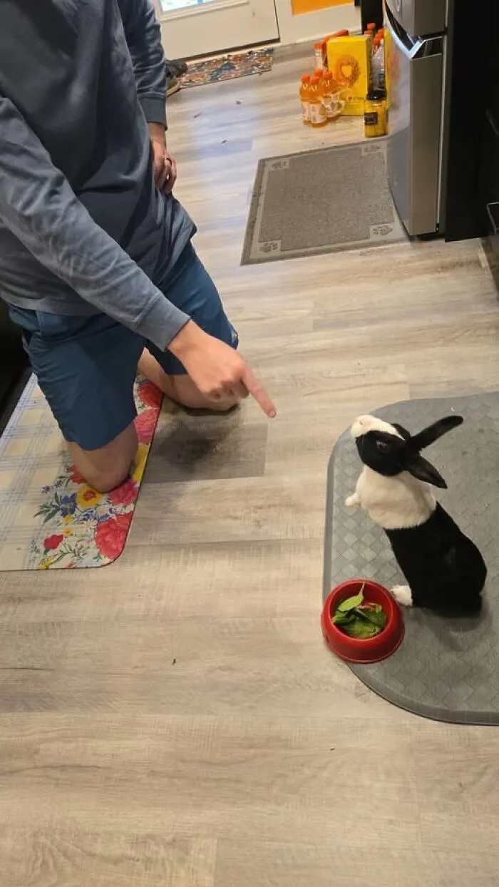 My Husband Was Telling Rose To Eat Her Spinach So She Stands Up LOL