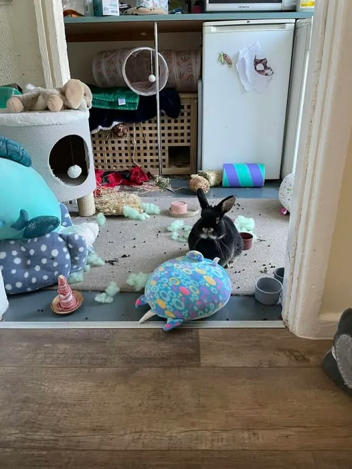 Went To A Wedding. Came Home To This