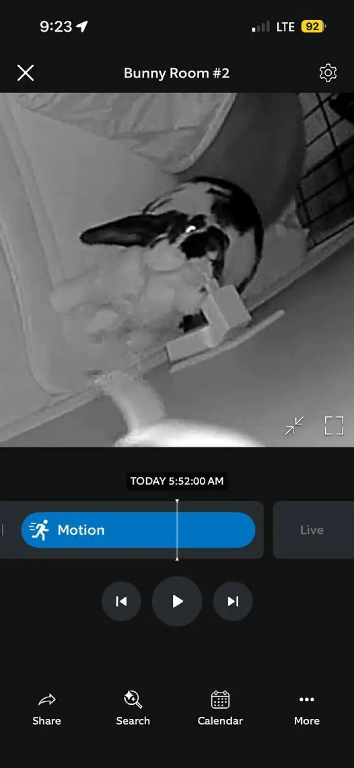 The Last Thing Our Ring Camera Saw Before It Bit The Dust (Pun Fully Intended)