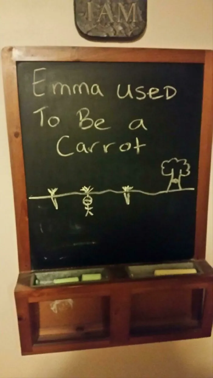 Chalkboard with a playful drawing and text showing a stick figure carrot, highlighting wholesome men never grow up humor.