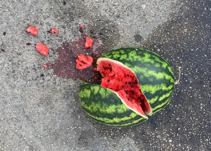 Cracked watermelon on asphalt with red flesh and seeds spilled, illustrating a chaotic scene witnessed outdoors.