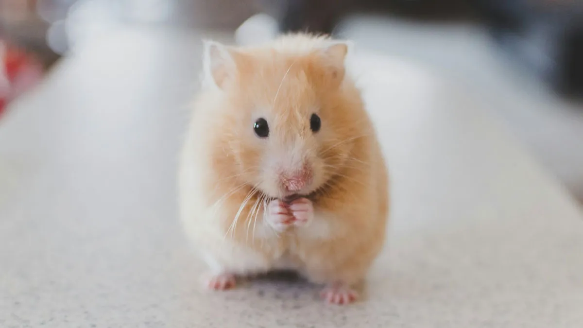 45 Fun Word Origins You Might Want To Drop Into Every Conversation