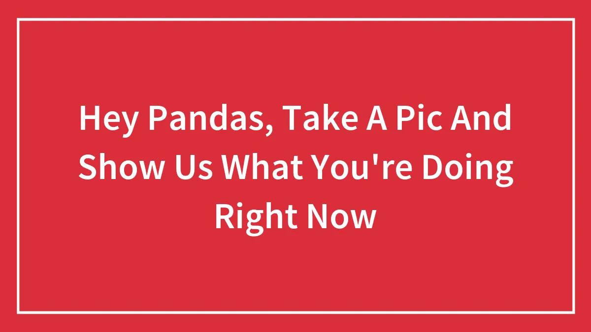 Hey Pandas, Take A Pic And Show Us What You're Doing Right Now