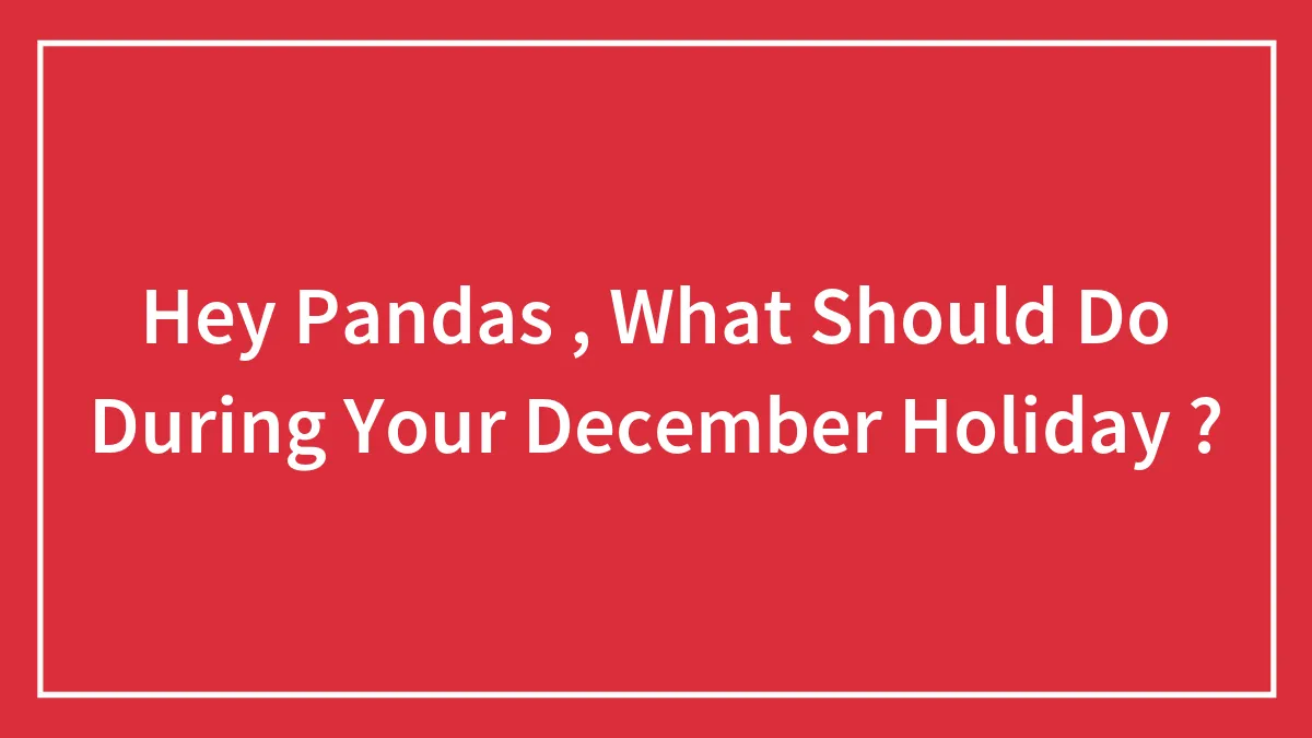Hey Pandas, What Should You Do During Your December Holiday?