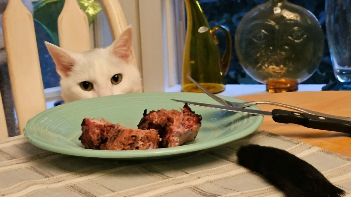Hey Pandas, Post The Funniest Picture Of Your Cats (Closed)