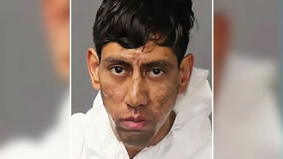 "Kafka, Is That You?": Man, 25, Accused Of Taking Two Lives Claims A Cockroach Ordered Him To Do So