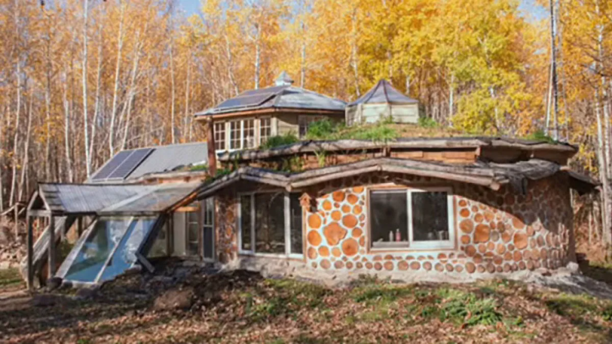 "Dangerous": Woman's Viral $15K Cabin In The Woods Sparks Heated Debate Over Safety Concerns After Clip Resurfaces