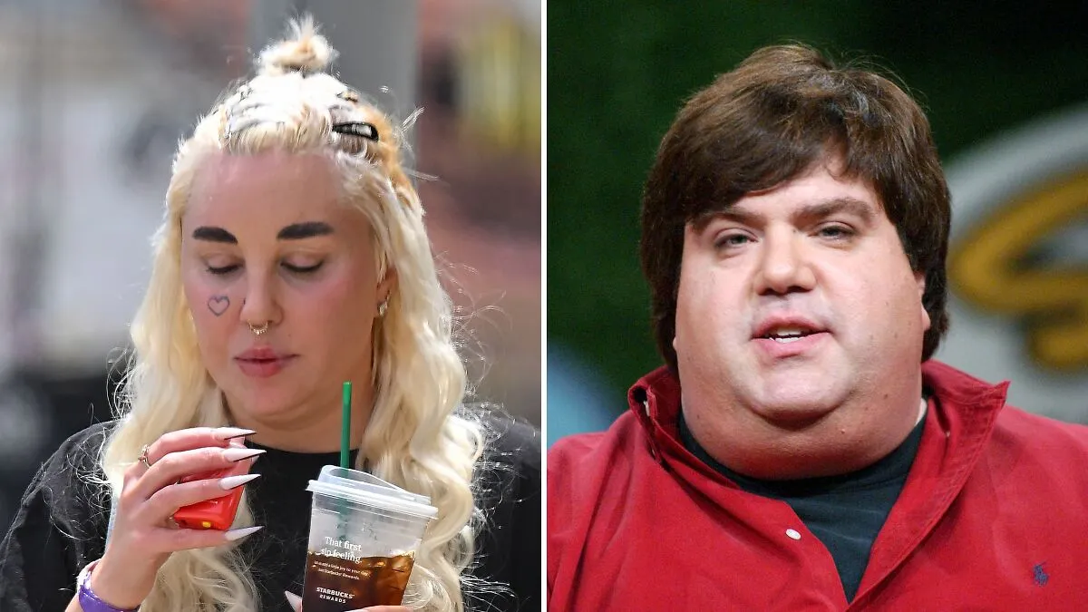 Dan Schneider's Defensive Statement Resurfaces As Amanda Bynes Breaks Silence On Disturbing Viral Video