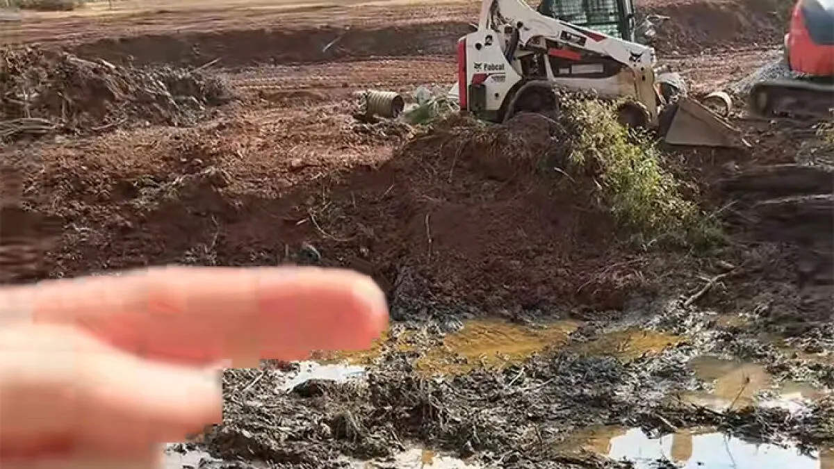 “Tree Law Is Insane”: Woman Blasts Neighbor For Bulldozing All Of Her Trees, Sparks Viral Debate