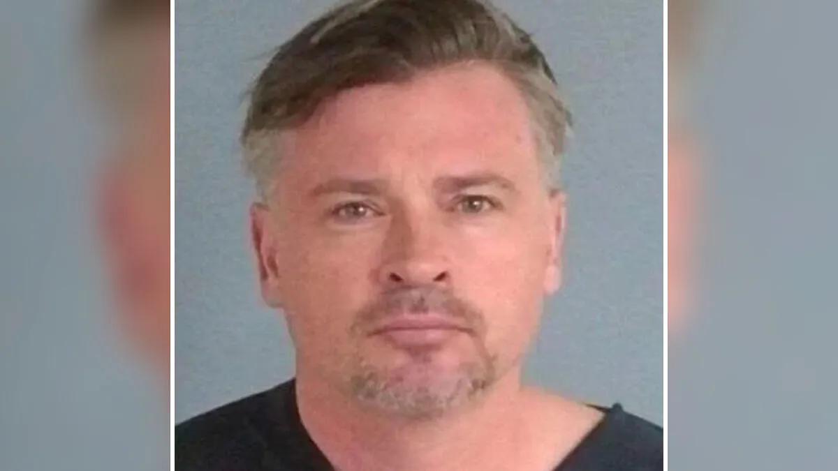 "Thought He Was A Nice Fellow": 15 Surprising Celebrity Arrests Of 2025