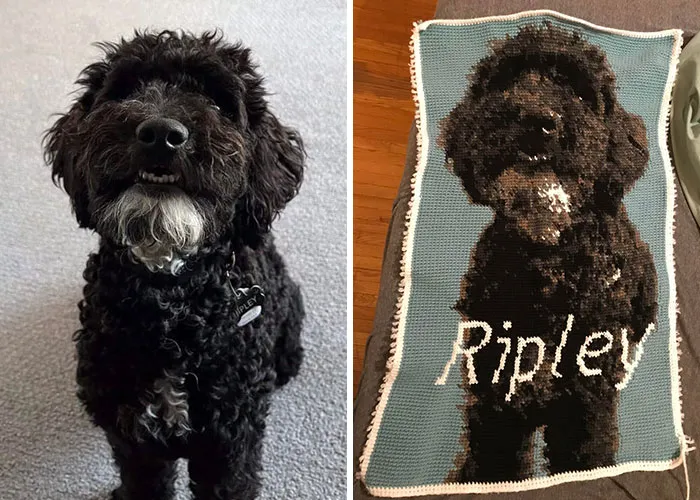 13,680 Stitches Later & My Christmas Gift For My GF Is Finished!