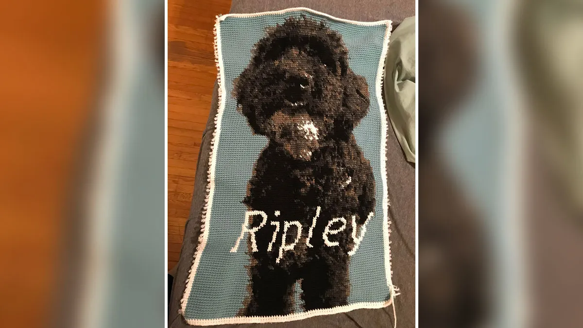 50 Times Crochet Enthusiasts Were So Proud Of Their Projects, They Had To Share Them (New Pics)