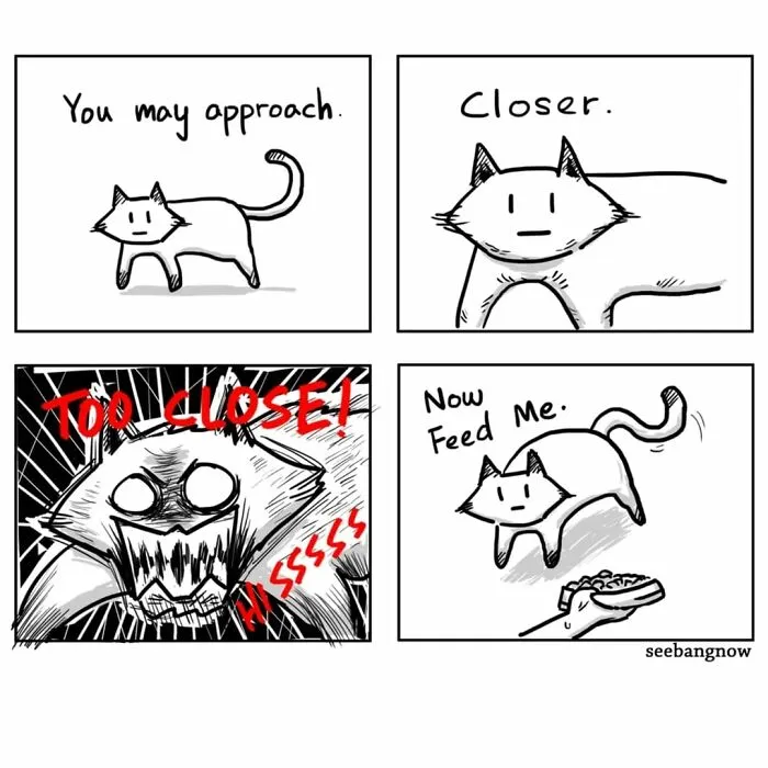 29 Sassy Cat Comics That Prove Cats Understand Us Better Than We Think
