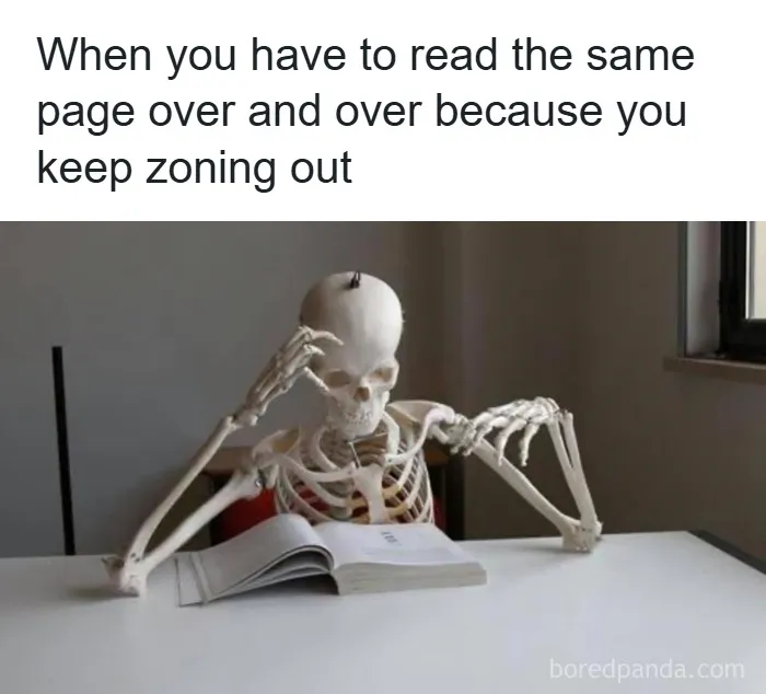 50 Funny Posts That Show Humanity Shares One Collective Brain Cell