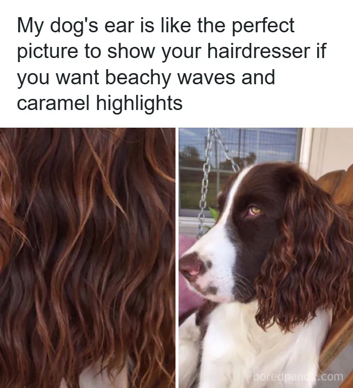 50 Memes About Beauty And Fashion To Get You Ready In The Morning