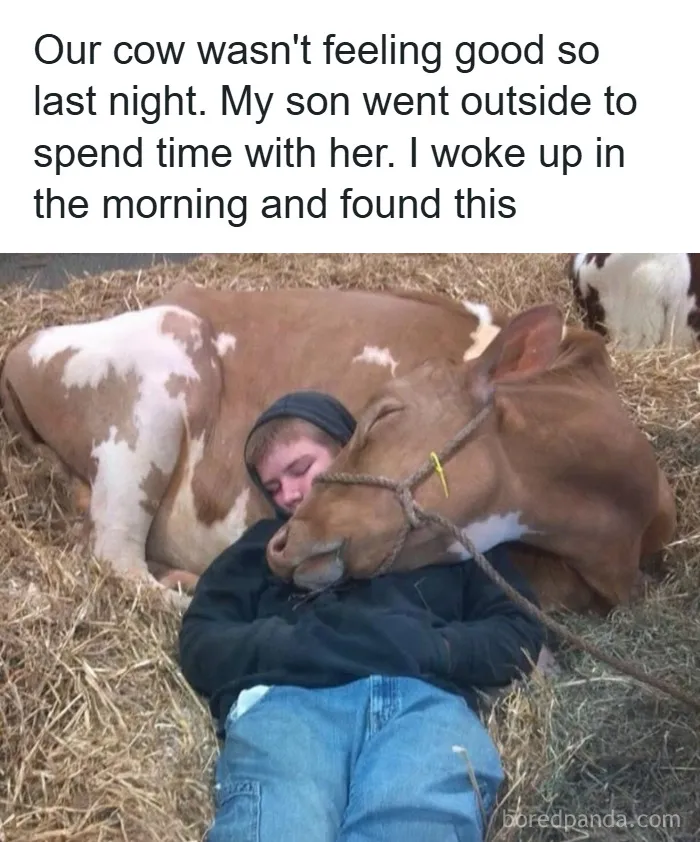 50 Funny Posts That Show Humanity Shares One Collective Brain Cell