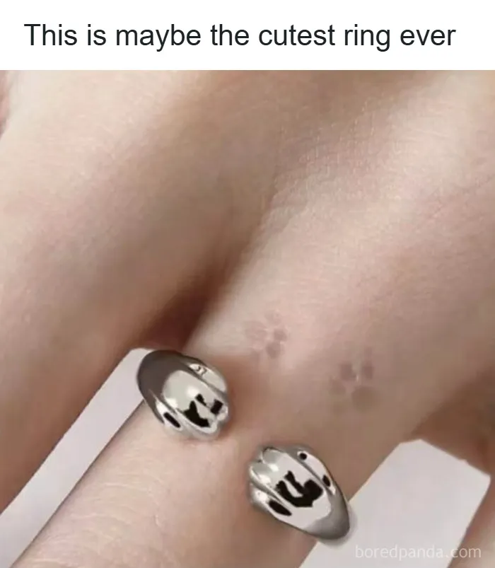 50 Funny Posts That Show Humanity Shares One Collective Brain Cell