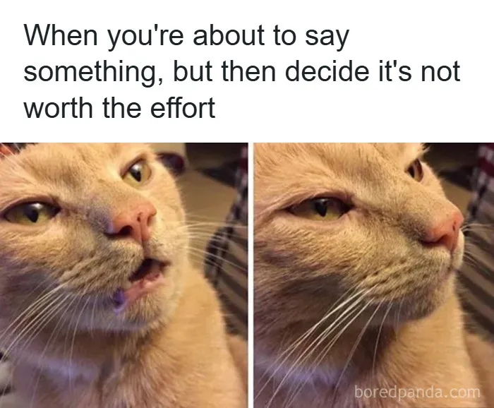 50 Funny Posts That Show Humanity Shares One Collective Brain Cell