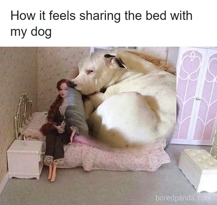 50 Funny Posts That Show Humanity Shares One Collective Brain Cell