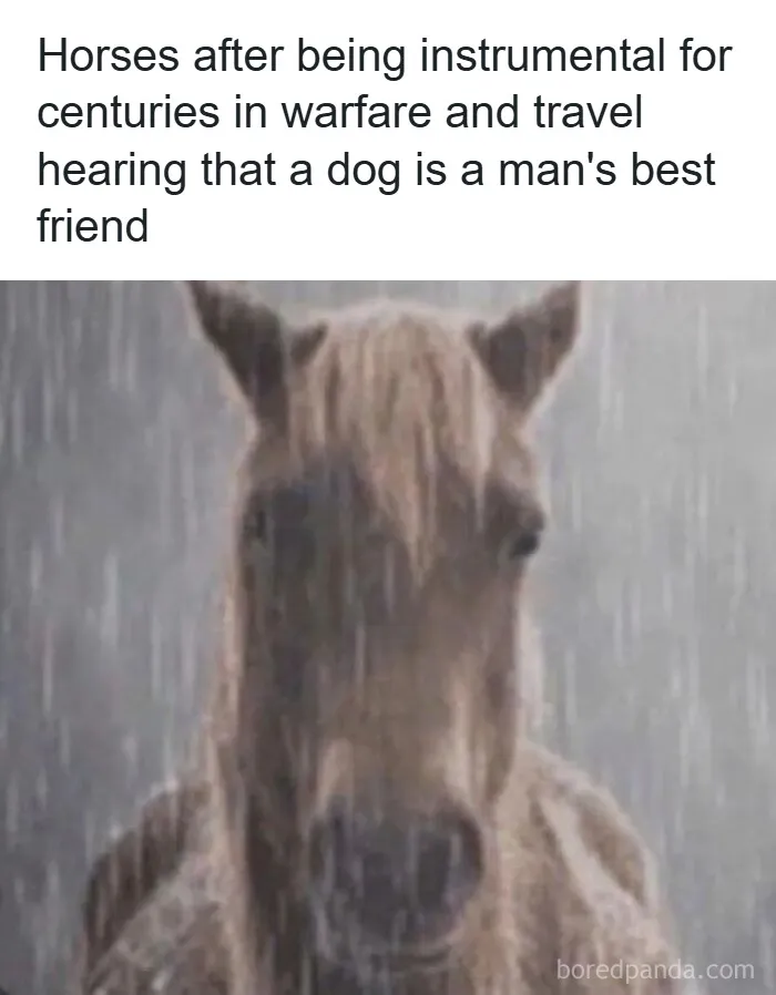 50 History Memes That Make Even The Most Serious Students Laugh Like Court Jesters