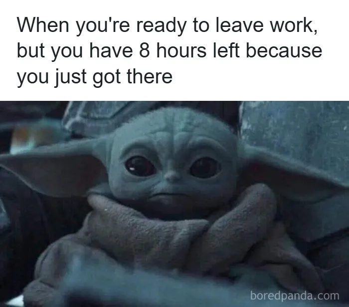 50 Funny Posts That Show Humanity Shares One Collective Brain Cell