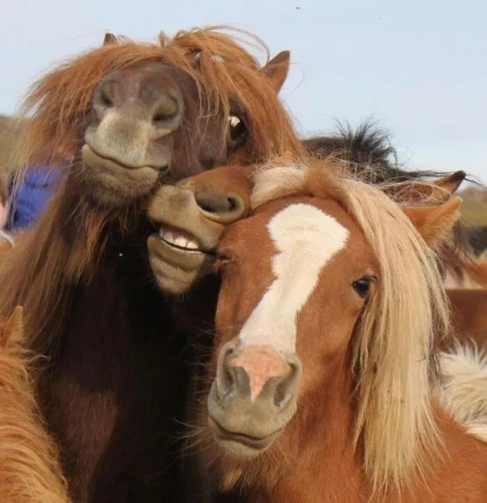 Me recuerda a cuando las chicas están borrachas e intentan posar para una foto