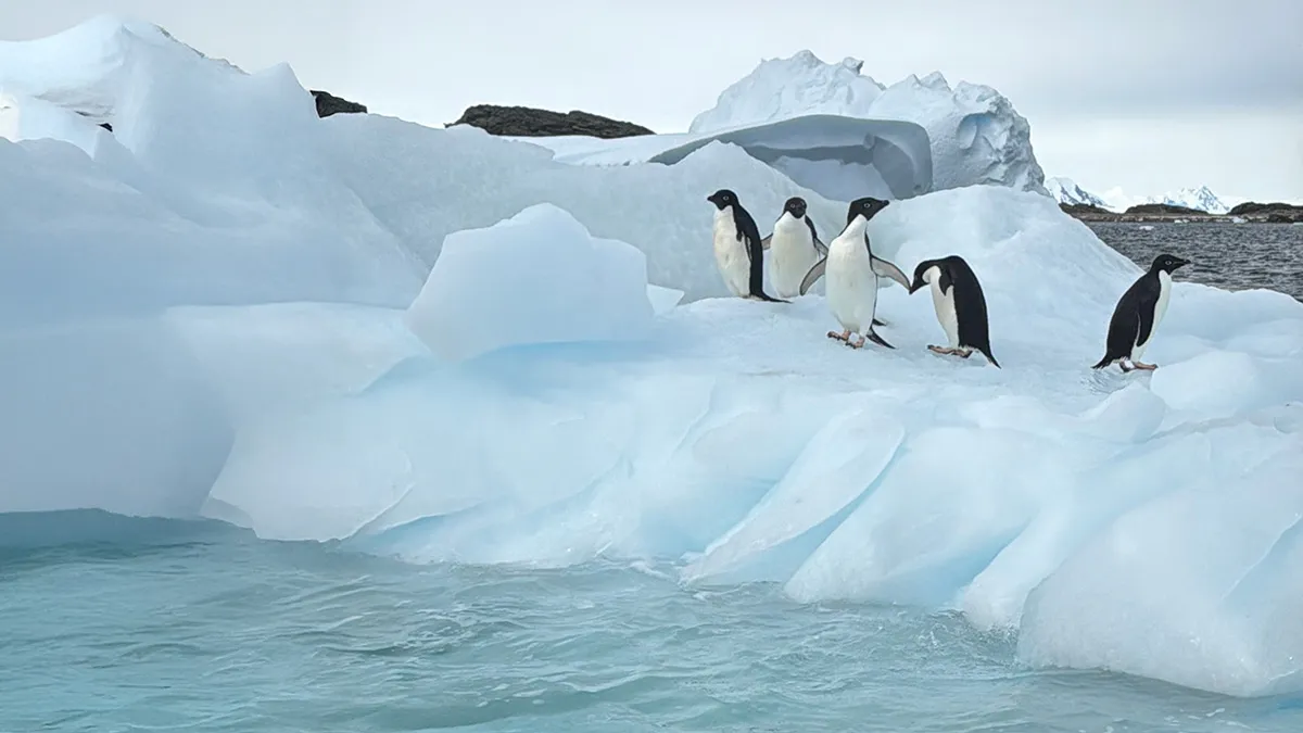 Nothing Prepares You For The Scale And Beauty Of Antarctica: My Adventure Of A Lifetime