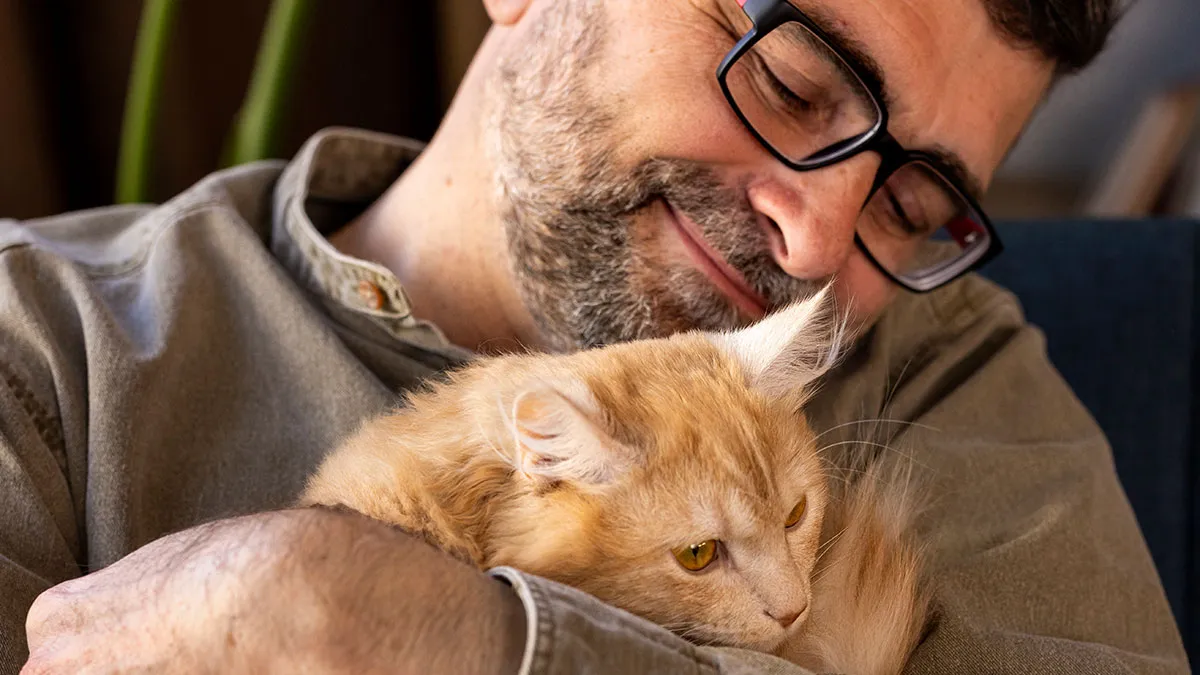 Pregnant Daughter Decides To Put Dad’s Cat In A Shelter Because Of Her Baby’s Safety, Gets Kicked Out