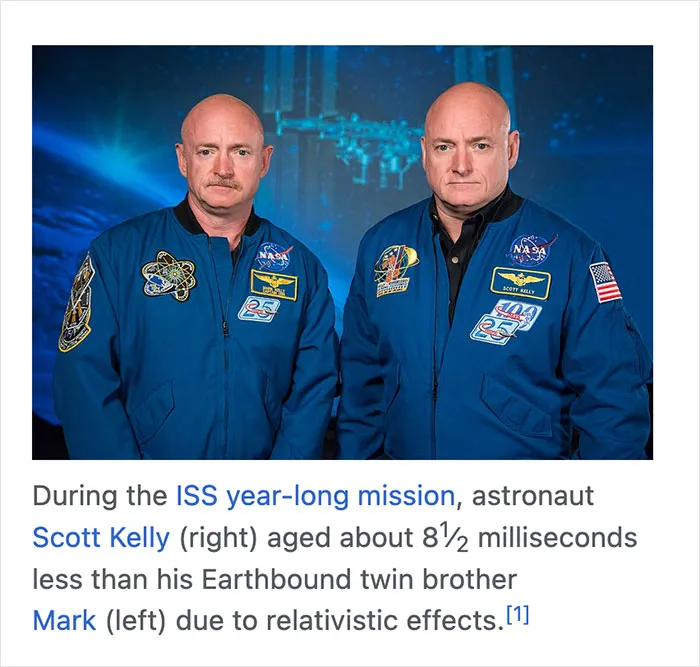 50 Times People Found Gems On Wikipedia That Were Too Funny Not To Share (New Pics)