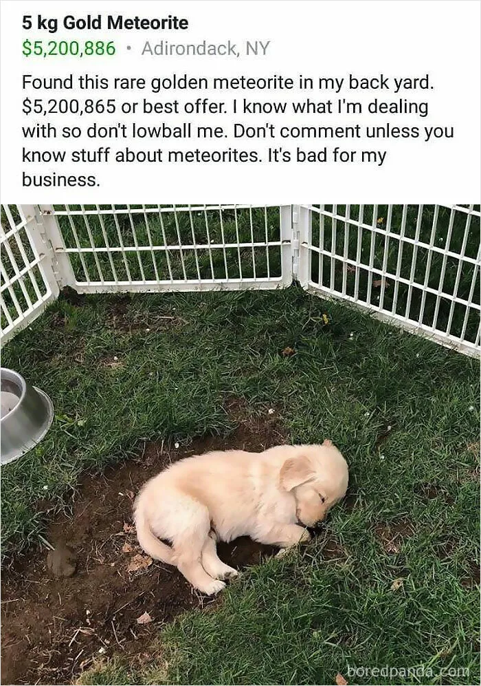 50 People Who Seemingly Don’t Know How Facebook Marketplace Actually Works