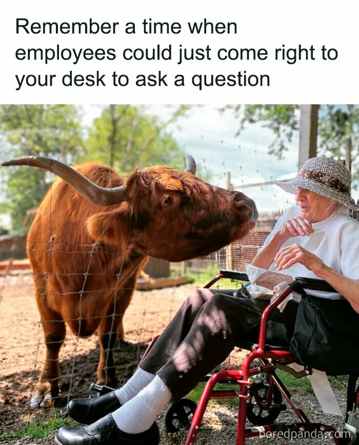 50 Memes That Sum Up The Chaos Of Working In Human Resources