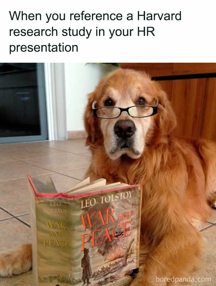 50 Memes That Sum Up The Chaos Of Working In Human Resources