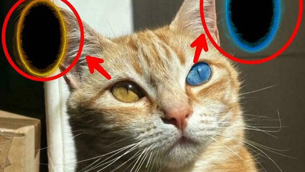 50 Times People Couldn't Help But Notice That These Things Look Like Other Things