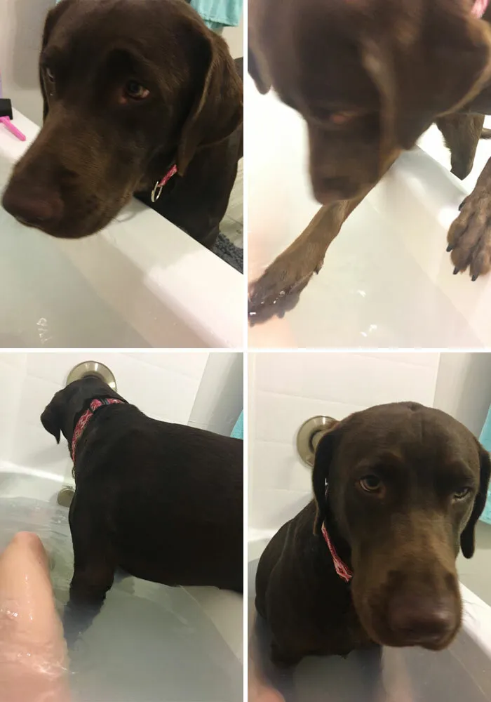 I Was Trying To Enjoy A Nice Bath But