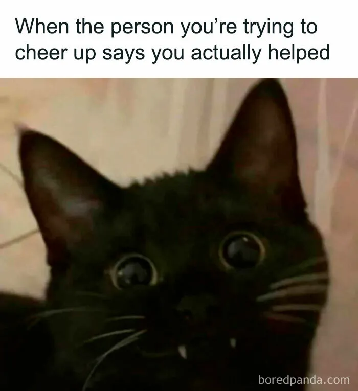 If You Need A Laugh Today, ‘Laughgorithm’ Has Found You The Perfect 70 Memes
