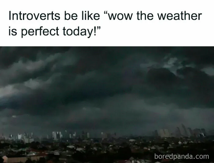 If You Need A Laugh Today, ‘Laughgorithm’ Has Found You The Perfect 70 Memes