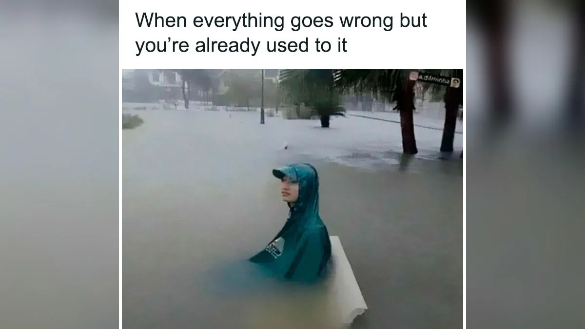 If You Need A Laugh Today, ‘Laughgorithm’ Has Found You The Perfect 70 Memes