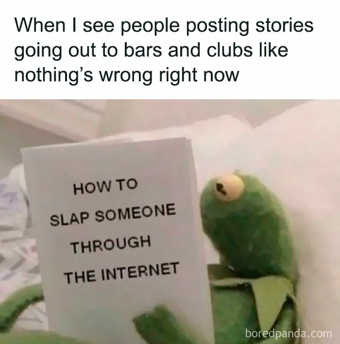 Kermit meme reading a book about slapping someone through the internet, funny meme to scroll instead of doing anything else