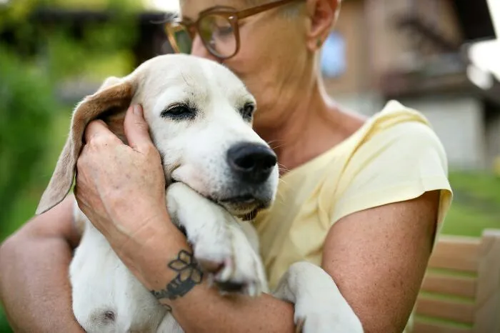 Person comforting a dog outdoors, expressing support and compassion for people having a hard time with cancer.