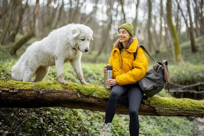 29 Borderline Crazy Things People Were Down To Do For Their Dogs