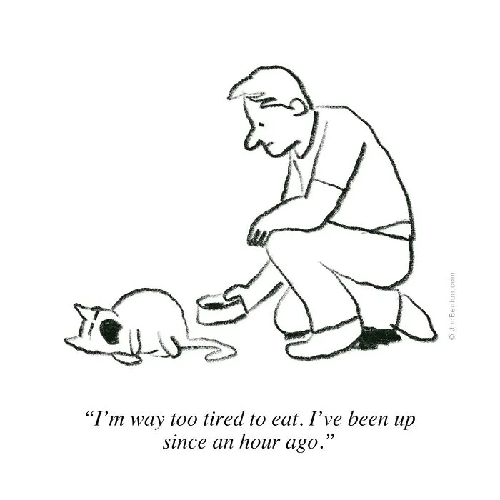 This Cartoonist Perfectly Captures What It’s Like To Live With Cats (20 Pics)