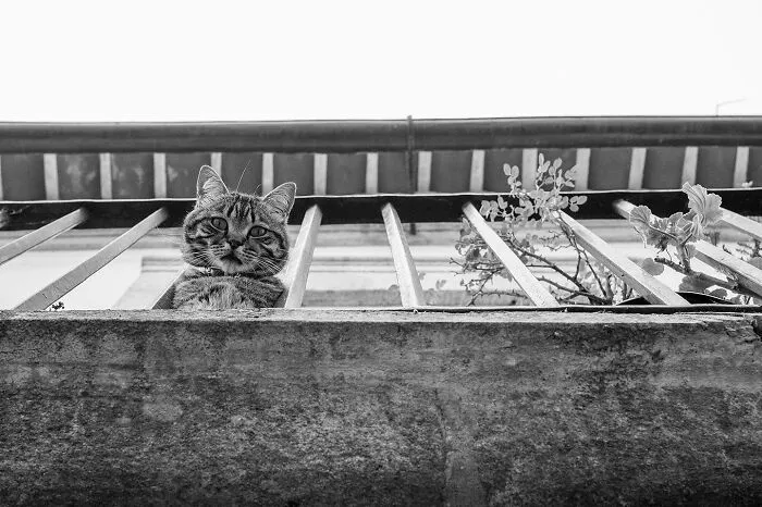 The Marvels Of Daily Life Captured In 45 New Stunning Photos By Mary Crnkovic Pilas