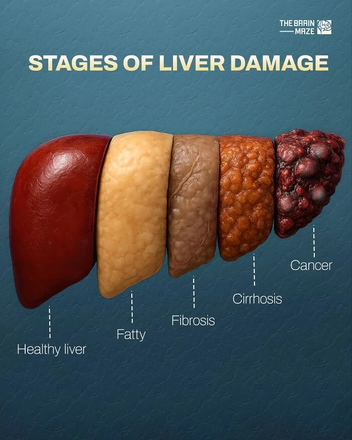 50 Interesting, Cool, And Disturbing Facts About The Mind And Body, As Shared By This FB Page
