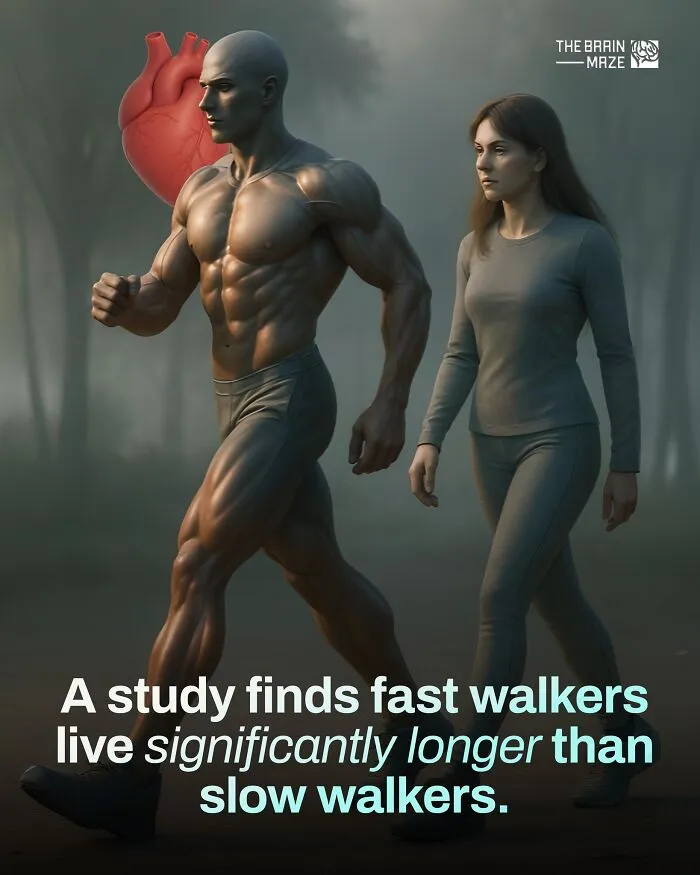 Interesting-Facts-Brain-Maze